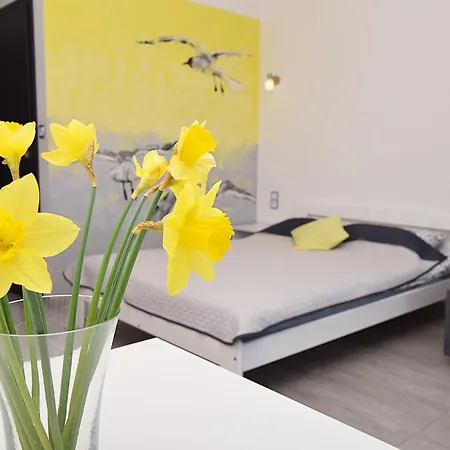 Laba Jastrzębia Góra