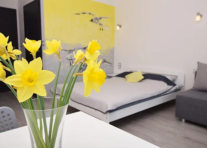 Laba Jastrzębia Góra